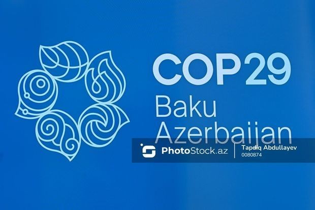 Ekspert: “COP29 hidrogen yanacaq elementləri üzrə əməkdaşlıq platformasına çevrilə bilər”